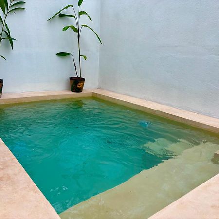 Excelente Alberca Privada En Residencial Privado, Gym, Asador Villa Ciudad Valles Ngoại thất bức ảnh