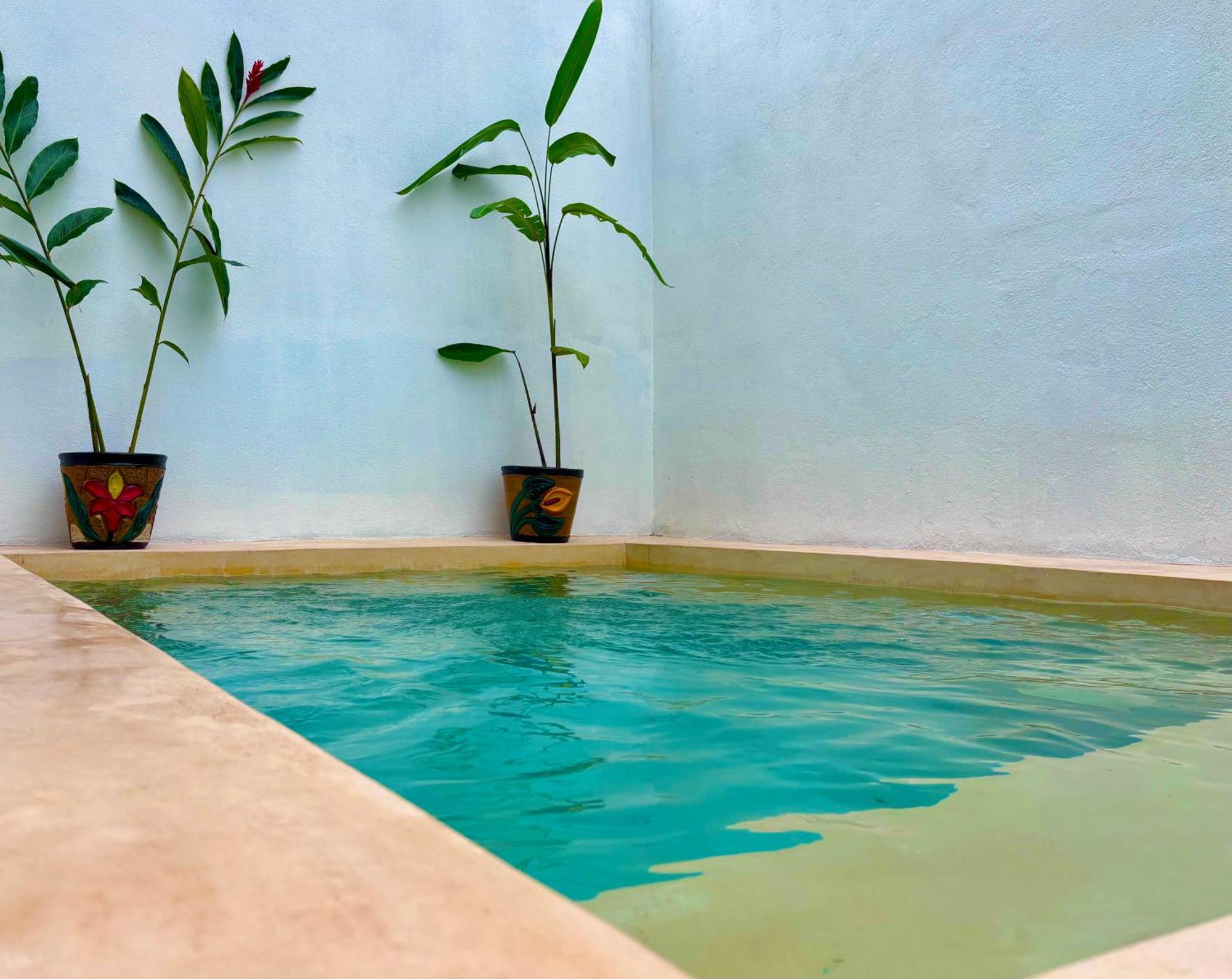 Excelente Alberca Privada En Residencial Privado, Gym, Asador Villa Ciudad Valles Ngoại thất bức ảnh